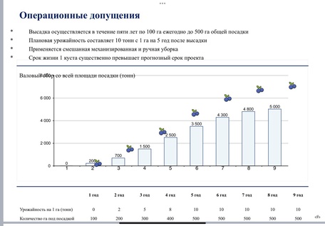 ПОДМОСКОВНЫЙ ЯГОДНЫЙ ГЕКТАР
доходность 20-40%